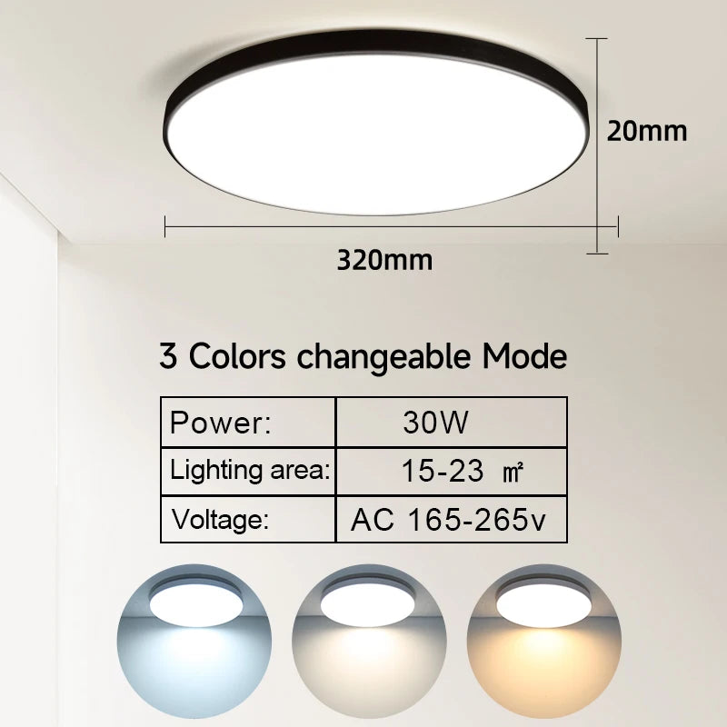 50186006364426|50186006462730|50186009542922|50186009608458