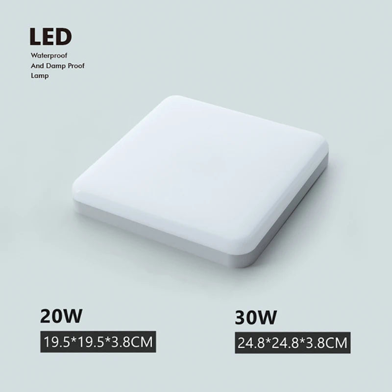 50186005119242|50186005217546|50186005315850|50186005414154|50186005676298|50186005774602