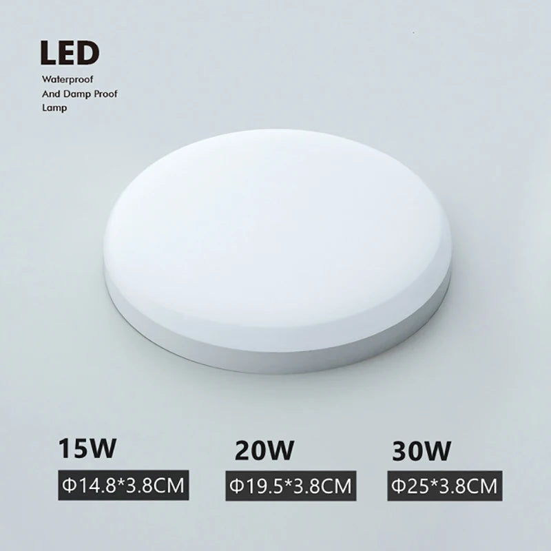 50186006003978|50186006102282|50186006921482|50186007019786|50186007118090|50186007216394