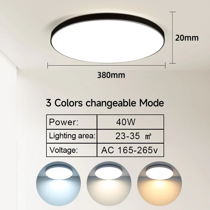 50186009673994|50186009739530|50186010296586|50186010362122