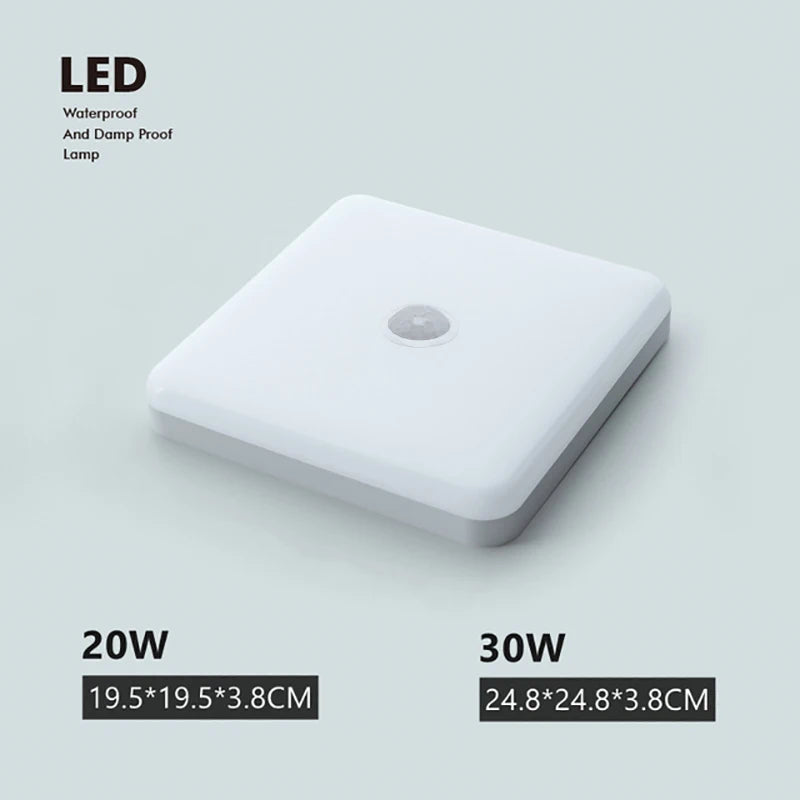 50186007314698|50186007413002|50186007511306|50186007544074|50186008002826|50186008035594