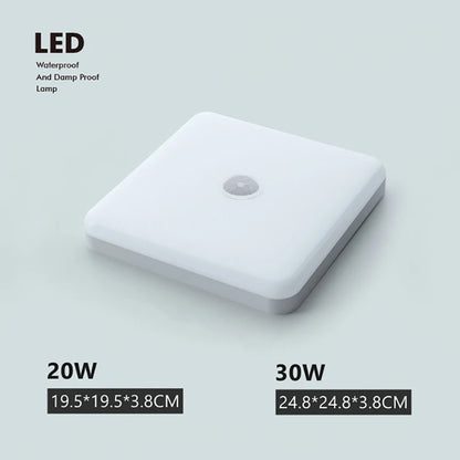 50186007314698|50186007413002|50186007511306|50186007544074|50186008002826|50186008035594